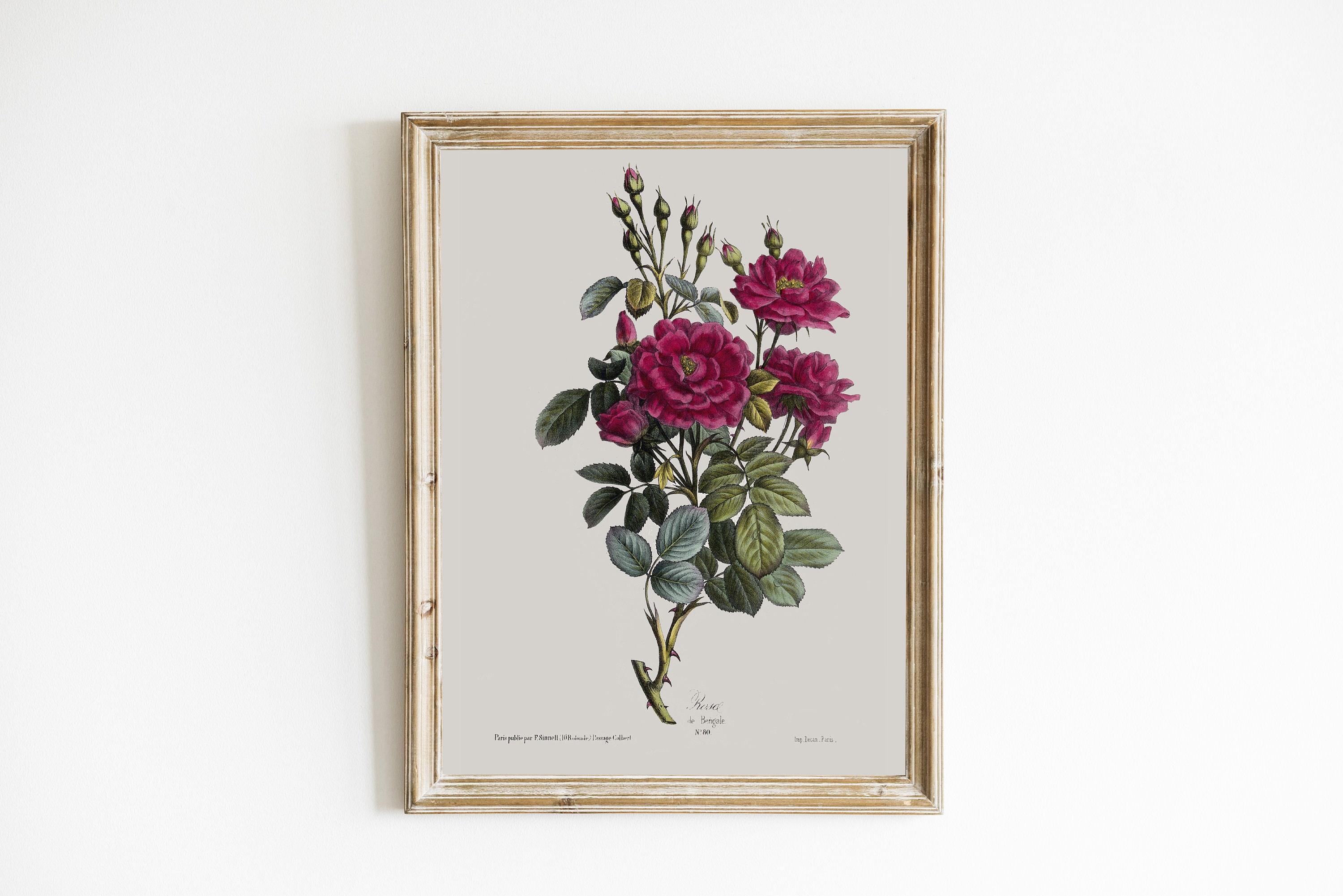 Vintage Roses Wall Art Prints Botanical Poster Botanical Etsy