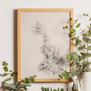 Antique Pine Tree Sketch Art Print: Neutral Winter Decor