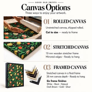 The image is a visual guide to different canvas options for artwork, including rolled, stretched, and framed canvas. It provides a step-by-step process of creating a canvas, with images of hands working with each type of canvas.