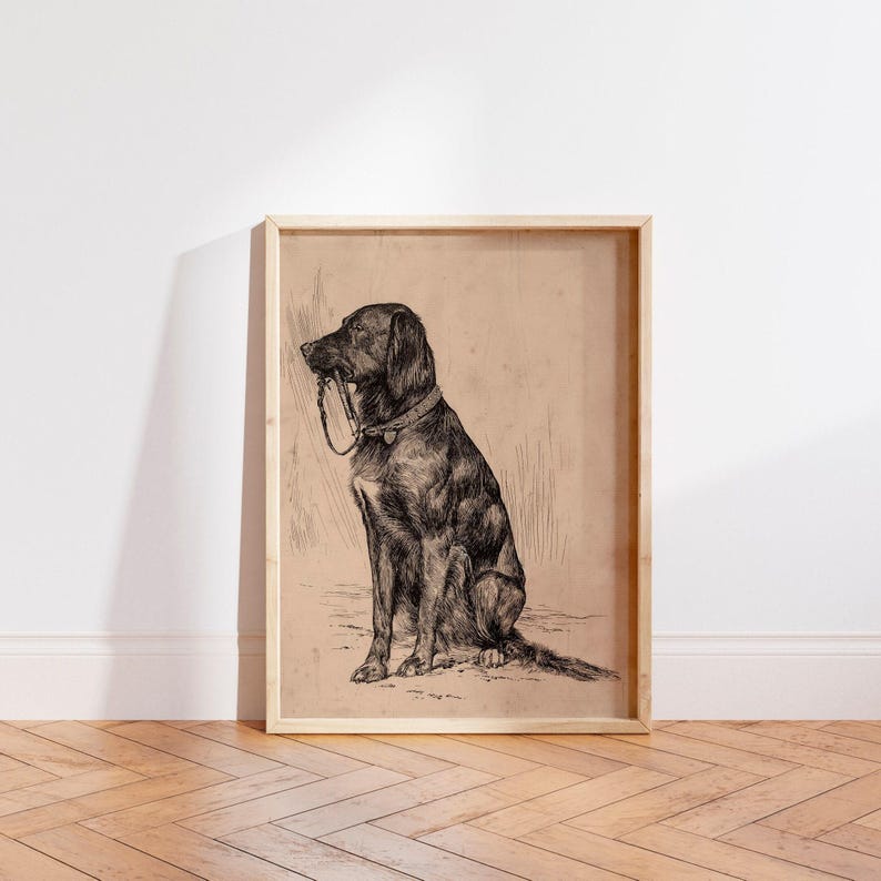 Black Labrador art print featuring a vintage dog painting in an antique animal portrait style. This farmhouse painting and detailed dog sketch makes a perfect dog lovers gift. High-quality dog print, SHIPPED ready to frame.