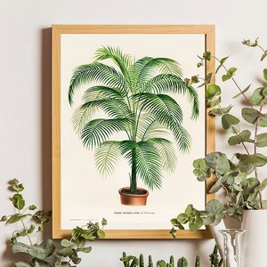 Vintage Cocos Palm Tree Print: Tropical Jungle Wall Art