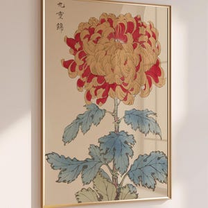 Vintage Japanese Chrysanthemum Art Print: Keika Hyakugiku Botanical Wall Art