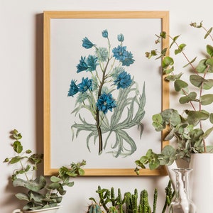 Blue Botanical Set of 6, Vintage Floral Watercolors, Blue Decor, Blue Flower Prints, Flower Wall Art, Botanical Print Set, Wildflowers Print image 2