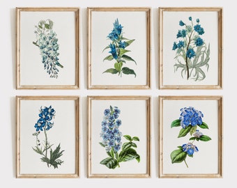 Blue Botanical Set of 6, Vintage Floral Watercolors, Blue Decor, Blue Flower Prints, Flower Wall Art, Botanical Print Set, Wildflowers Print