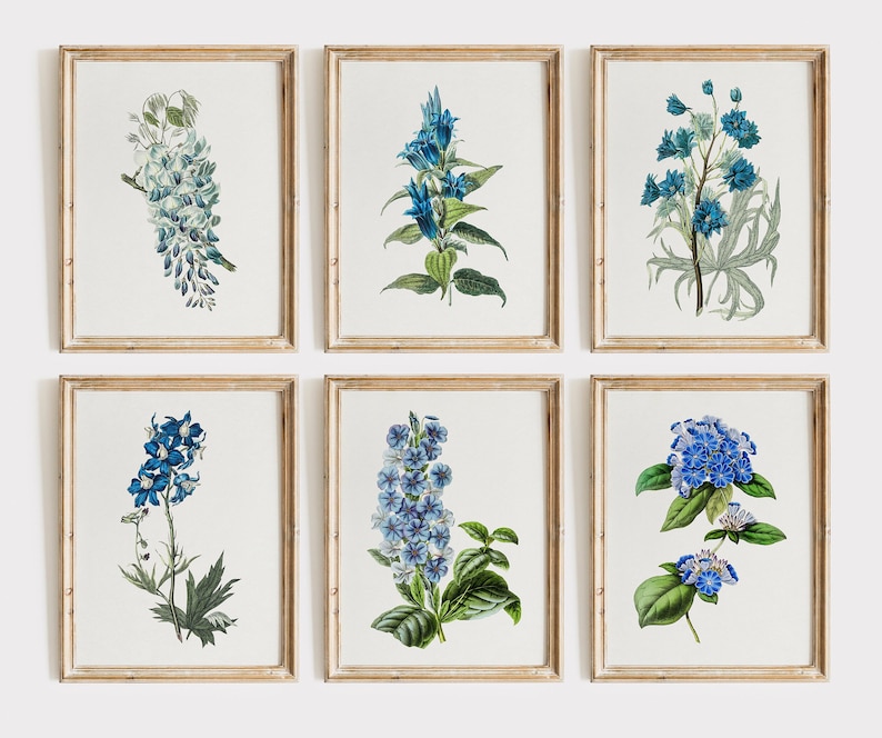 Blue Botanical Set of 6, Vintage Floral Watercolors, Blue Decor, Blue Flower Prints, Flower Wall Art, Botanical Print Set, Wildflowers Print image 1