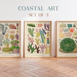 Juego de 3 impresiones de corales marinos, decoración de playa, póster de corales de la Gran Barrera de Coral, arte costero, decoración de pared náutica, arte de pared de coral, pósteres vintage