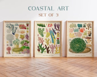 Sea Coral Print Set of 3, Beach Decor, Great Barrier Reef Corals Poster, Coastal Art, Nautical Wall Decor, Coral Wall Art, Vintage posters