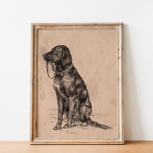 Black Labrador art print featuring a vintage dog painting in an antique animal portrait style. This farmhouse painting and detailed dog sketch makes a perfect dog lovers gift. High-quality dog print, SHIPPED ready to frame.