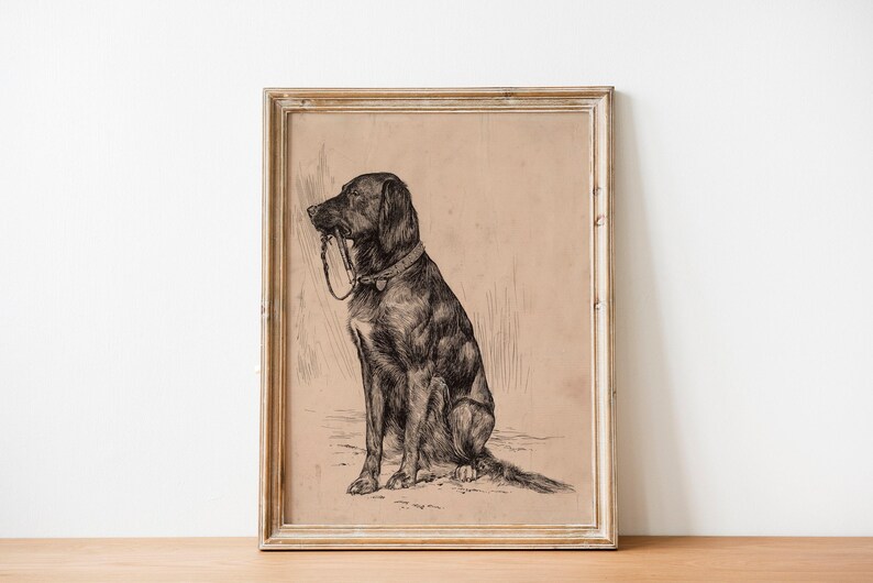 Black Labrador art print featuring a vintage dog painting in an antique animal portrait style. This farmhouse painting and detailed dog sketch makes a perfect dog lovers gift. High-quality dog print, SHIPPED ready to frame.