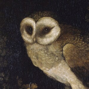Antique Owl Painting featuring a moody, rustic bird print in a dark academia style. This vintage animal wall art showcases a detailed owl portrait, perfect for creating a scholarly, atmospheric vibe. Ideal as vintage owl print decor, owl wall art, or bird print for a study, library, or cozy reading nook. Printed wall art.