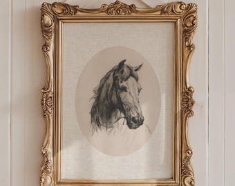 Vintage Horse Etching Print: Equestrian Farmhouse Wall Art
