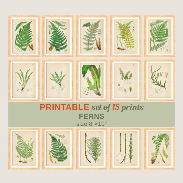Fern Print - Etsy