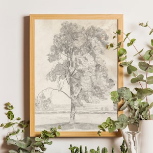 Vintage Tree Drawing Print, Neutral Rustic Sketch Art Print, Farmhouse Wall Decor, MAILED ART PRINTS, Antique Tree Wall Art, Neutral Drawing