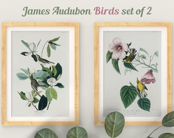 Audubon Birds Print Set, Botanical Prints, Illustration, Giclee, Bird Prints, Audubon Bird Prints, Magnolia print, Vintage Bird Prints