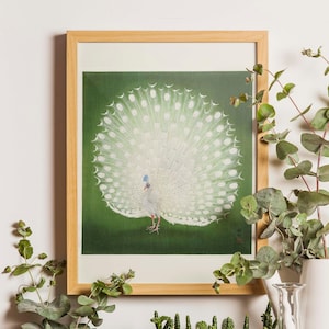 Reprint of Peacock illustration by Ohara Koson.  Different sizes available. Printing on matt paper, canvas or deckle edge fine art paper. Printed and shipped. Beautiful vintage japanese wall art.
