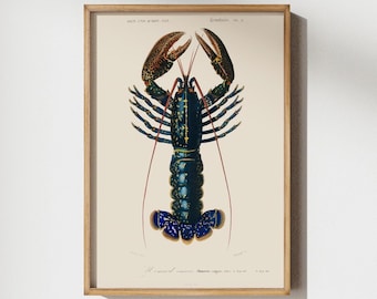Vintage Lobster Print, Coastal Beach Nautical Bathroom Decor