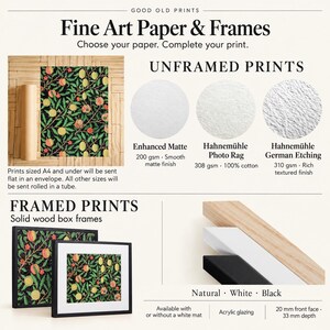 The image is an advertisement for fine art paper and frames, showcasing various options for customers to choose their preferred paper and complete their print.