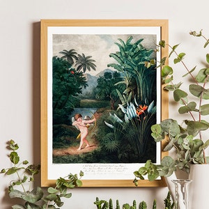 Botanischer Druck, Paradiesvogel Blume, Tropisches Poster, Thornton, Tropischer Wald, Antik, Engel, Blumenillustrationen, Vintage botanisch