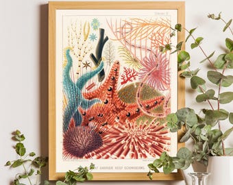 Vintage Coral Reef Print, Marine Life Illustration, Coastal Bathroom Art