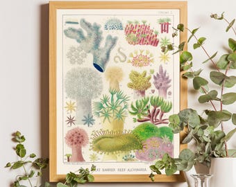 May include: A framed scientific print titled Great Barrier Reef Alcyonaria, featuring detailed illustrations of various coral species in shades of blue, green, pink, and yellow on a cream background, housed in a light wood frame.