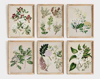 Botanical Prints Set of 6, Wildflower Art Print, Warm Aesthetic, Vintage Botanical Art, Botanical Prints, Neutral Decor, Farmhouse Decor