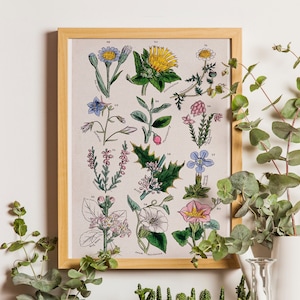 Wilde bloemen print, bloemen muurkunst, vintage bloemenprint, poster wilde bloemen, wilde bloemen kunst, wilde bloemen print, bloemenprint, bloemendecor