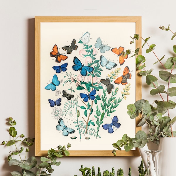 Vintage Butterfly Wall Art, Butterfly Art Prints, Butterfly Decor, Butterfly Wall Art, Rustic Butterfly Art, Farmhouse Art Prints, Butterfly