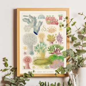 Sea Coral Print, Sea life art, Corals collection poster, Wall Art, Deep Sea Corals, Illustration ocean life, Home decor, Coral Reef print