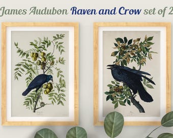 James Audubon Raven and Crow Print Set, Vintage Botanical Bird Art