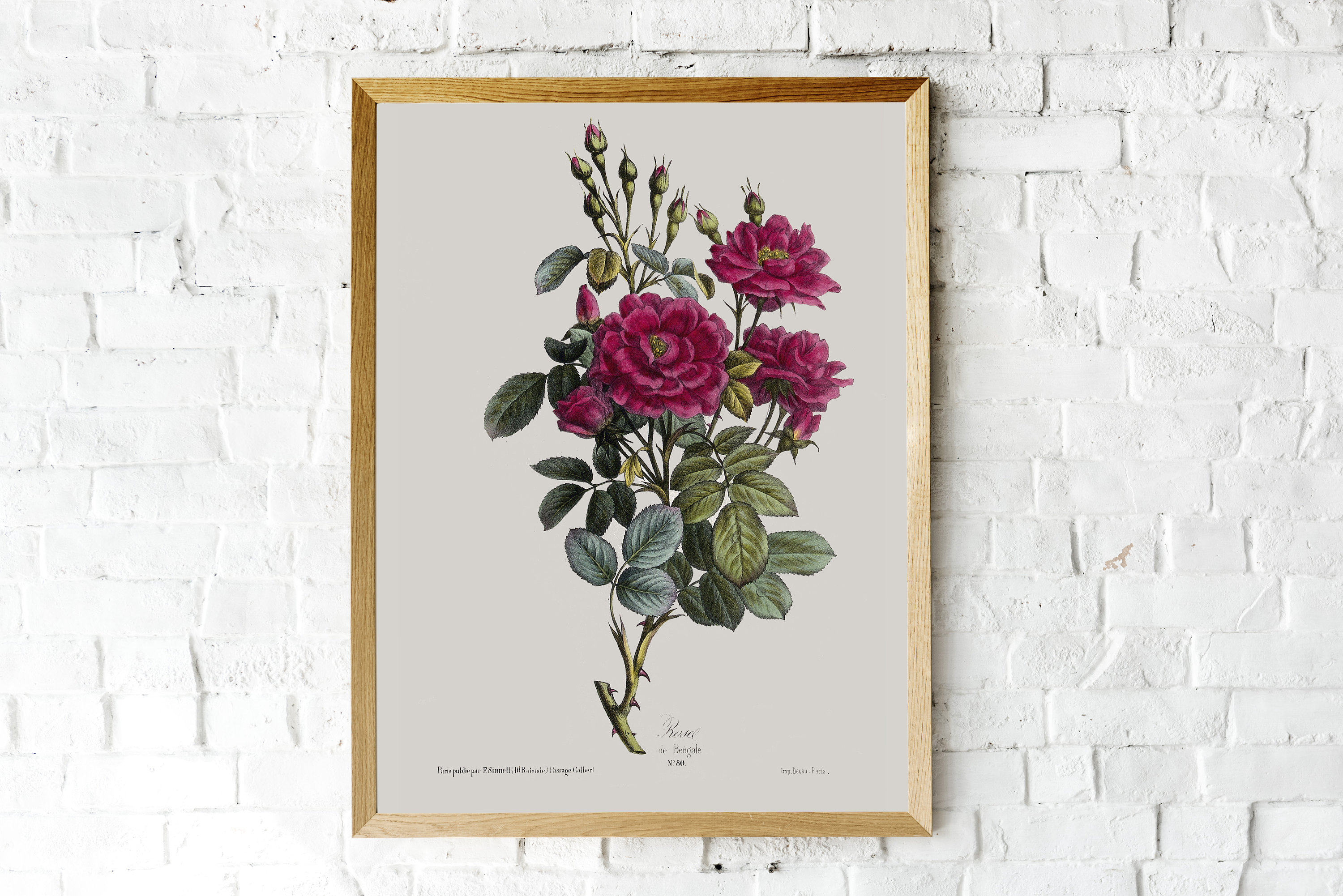 Vintage Roses Wall Art Prints Botanical Poster Botanical Etsy