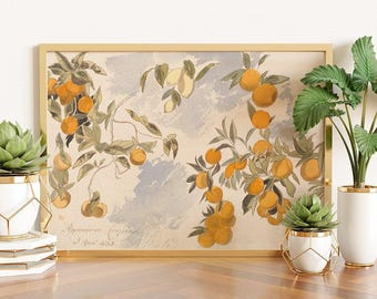 May include: A framed botanical print featuring watercolour illustrations of orange branches with fruit and green leaves against a light background with blue brushstrokes. The text "Aurantium Curacao 3 April 1863" is visible in the bottom left corner.