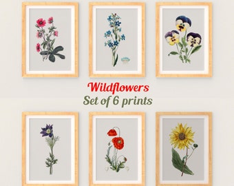 Vintage Wildflower Prints, Vintage Botanical Art,  Botanical Print Set, Wildflower Art, Wildflower Decor, Farmhouse Art, Botanical Wall Art