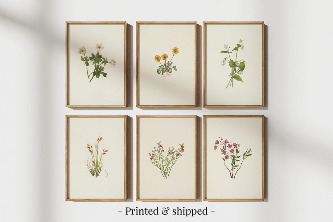 Vintage Wildflower Prints: Botanical Gallery Wall Art Set of 6 - Etsy