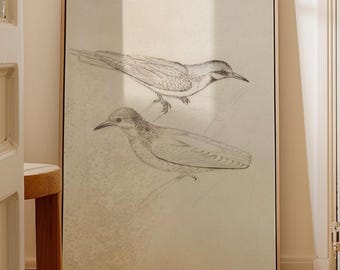 Vintage Bird Sketch Wall Art – Antique Nature Illustration, Minimalist Bird Drawing, Neutral Wall Decor, Printed Art
