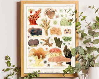 Vintage Barrier Reef Corals Print, William Saville-Kent Botanical Ocean Art