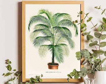 Vintage Cocos Palm Tree Print: Tropical Jungle Wall Art