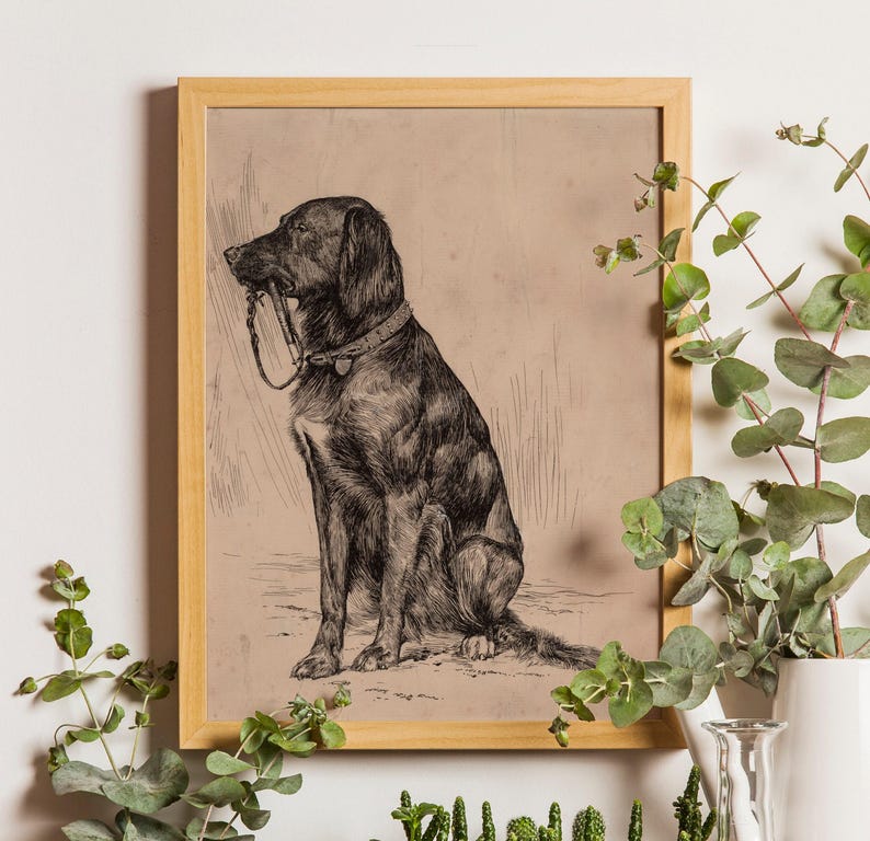 Black Labrador art print featuring a vintage dog painting in an antique animal portrait style. This farmhouse painting and detailed dog sketch makes a perfect dog lovers gift. High-quality dog print, SHIPPED ready to frame.