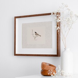 Antique bird prints set of 6, featuring vintage botanical illustrations perfect for a gallery wall. Farmhouse wall art style, ideal canvas art for living room wall decor. Printed and shipped.