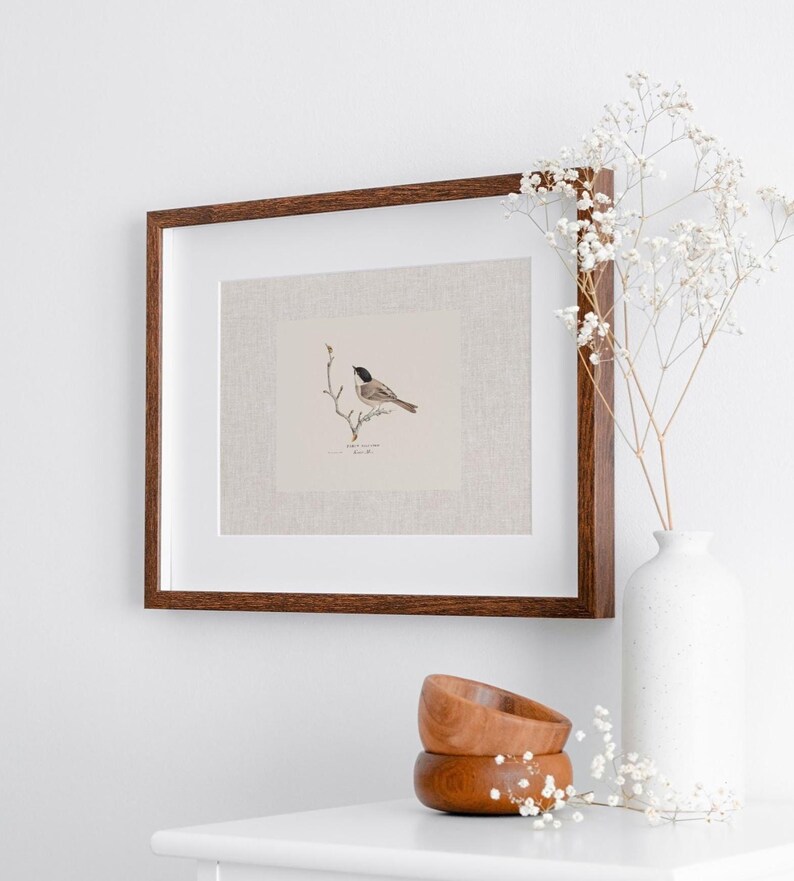 Antique bird prints set of 6, featuring vintage botanical illustrations perfect for a gallery wall. Farmhouse wall art style, ideal canvas art for living room wall decor. Printed and shipped.