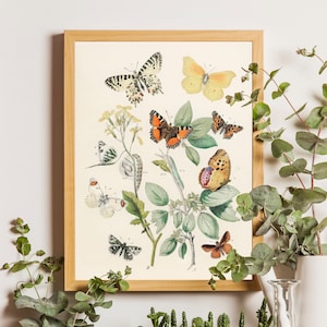 Vintage Schmetterling Wandkunst, Schmetterling Kunstdrucke, Schmetterling Dekor, Schmetterling Wandkunst, rustikale Schmetterling Kunst, Geschenk für sie, Frühlingsdekor
