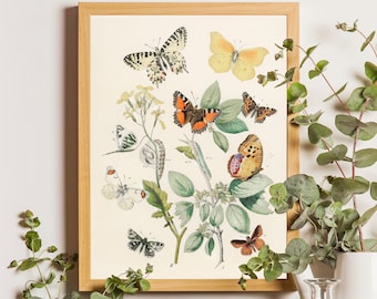 Vintage Butterfly Wall Art, Butterfly Art Prints, Butterfly Decor, Butterfly Wall Art, Rustic Butterfly Art, Gift for her, Spring decor