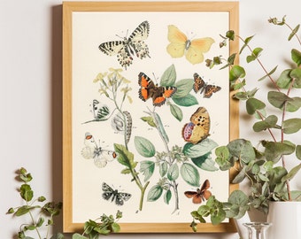 Vintage Butterfly Wall Art, Butterfly Art Prints, Butterfly Decor, Butterfly Wall Art, Rustic Butterfly Art, Gift for her, Spring decor