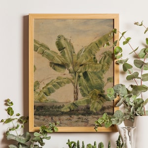Banana Tree Print, Antique Botanical Illustration Poster, Botany Art, Vintage Kitchen, Bathroom Decor, Botanical print, Tropical print