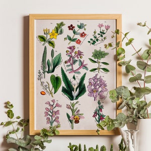 Vintage bloemen, kunst aan de muur wilde bloemen, wilde veldplanten kunst, bloemenweide decor, kleurrijke bloem schilderij, botanische schilderij, wilde bloemen