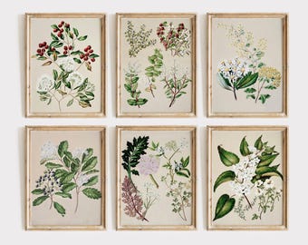 Vintage Wildflower Print Set, Botanical Wall Art, Sarah Featon Reprints