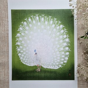 Reprint of Peacock illustration by Ohara Koson.  Different sizes available. Printing on matt paper, canvas or deckle edge fine art paper. Printed and shipped. Beautiful vintage japanese wall art.