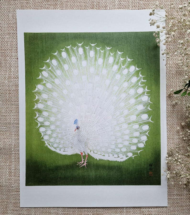 Reprint of Peacock illustration by Ohara Koson.  Different sizes available. Printing on matt paper, canvas or deckle edge fine art paper. Printed and shipped. Beautiful vintage japanese wall art.