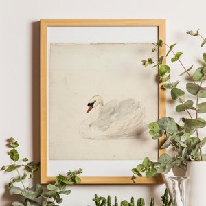 Swan Art Print, Antique Bird Print, Swan Poster, Vintage Bird Print, Wall Decor, Bird Art, Vintage Art, Swan Drawing, Vintage Swan Art, Swan