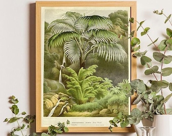 Antique Palm Tree Botanical Print, Victorian Jungle Art