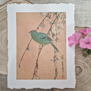 Dipinto di uccelli giapponesi, poster floreale orientale, antiquariato d'arte giapponese, arte botanica floreale giapponese, arte botanica giapponese d'epoca,